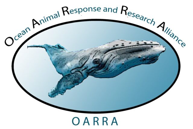 Ocean Animal Response and Research Alliance (OARRA) and WatchSpotter: Pioneering Marine Conservation through Technology
