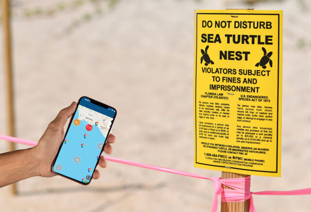 Sea Turtle Nesting Season: Enhancing Conservation with Data Collection Software