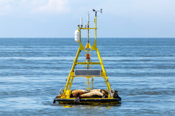 One Ocean. One Future: Why Marine Conservation Depends on Collaboration